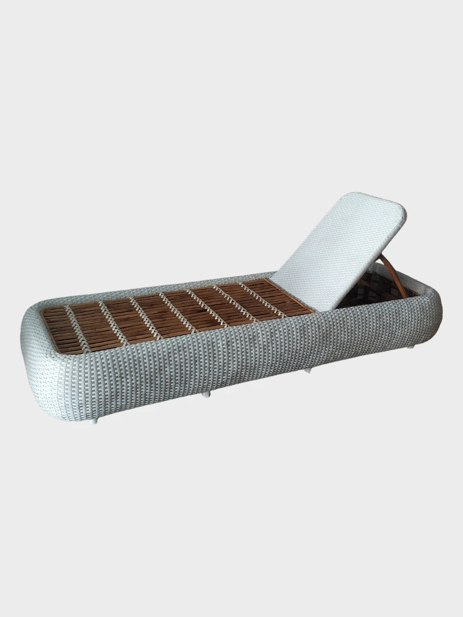 Swimming Pool Chair